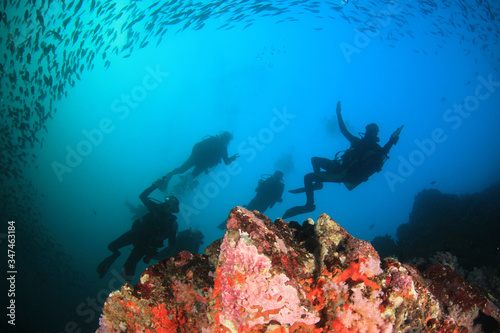 Scuba diving on underwater coral reef