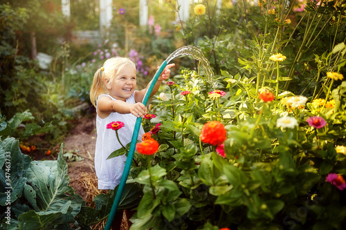 Girl watering the garden with a watering can, garden, little gardener, July, summer in the village, happy child