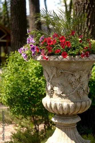 flower pot in garden