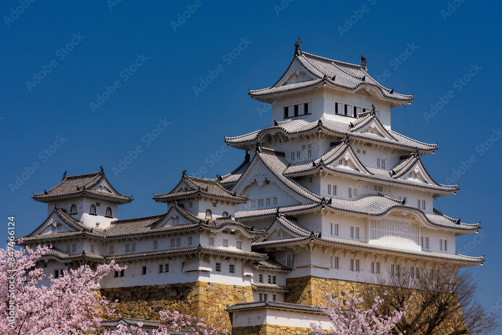 Himeji castle during the cherry blossom sakura season in Himeji, Hyogo Prefecture, Japan Himeji castle during the cherry blossom sakura season in Himeji, Hyogo Prefecture, Japan