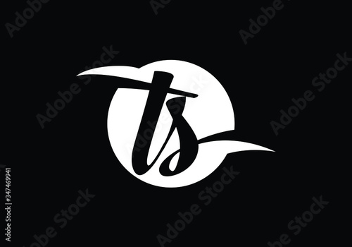 Initial Monogram Letter T S Logo Design Vector Template. Graphic Alphabet Symbol for Corporate Business Identity photo