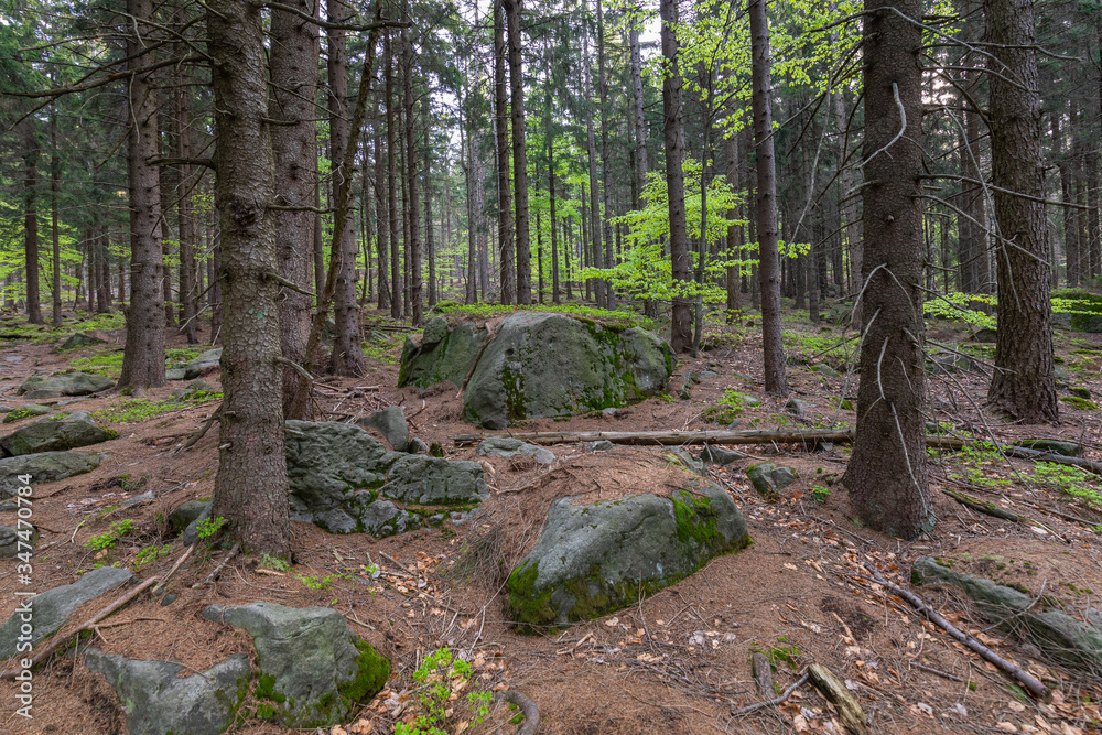 Stolowe Mountains National Park in Kudowa-Zdroj, Poland. A popular destination for trips in Poland. Stolowe Mountains National Park in Kudowa-Zdroj, Poland. A popular destination for trips in Poland.