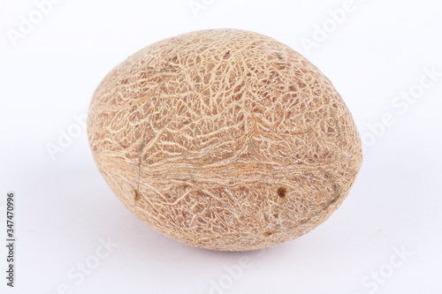 Full dried Coconut isolated on white background