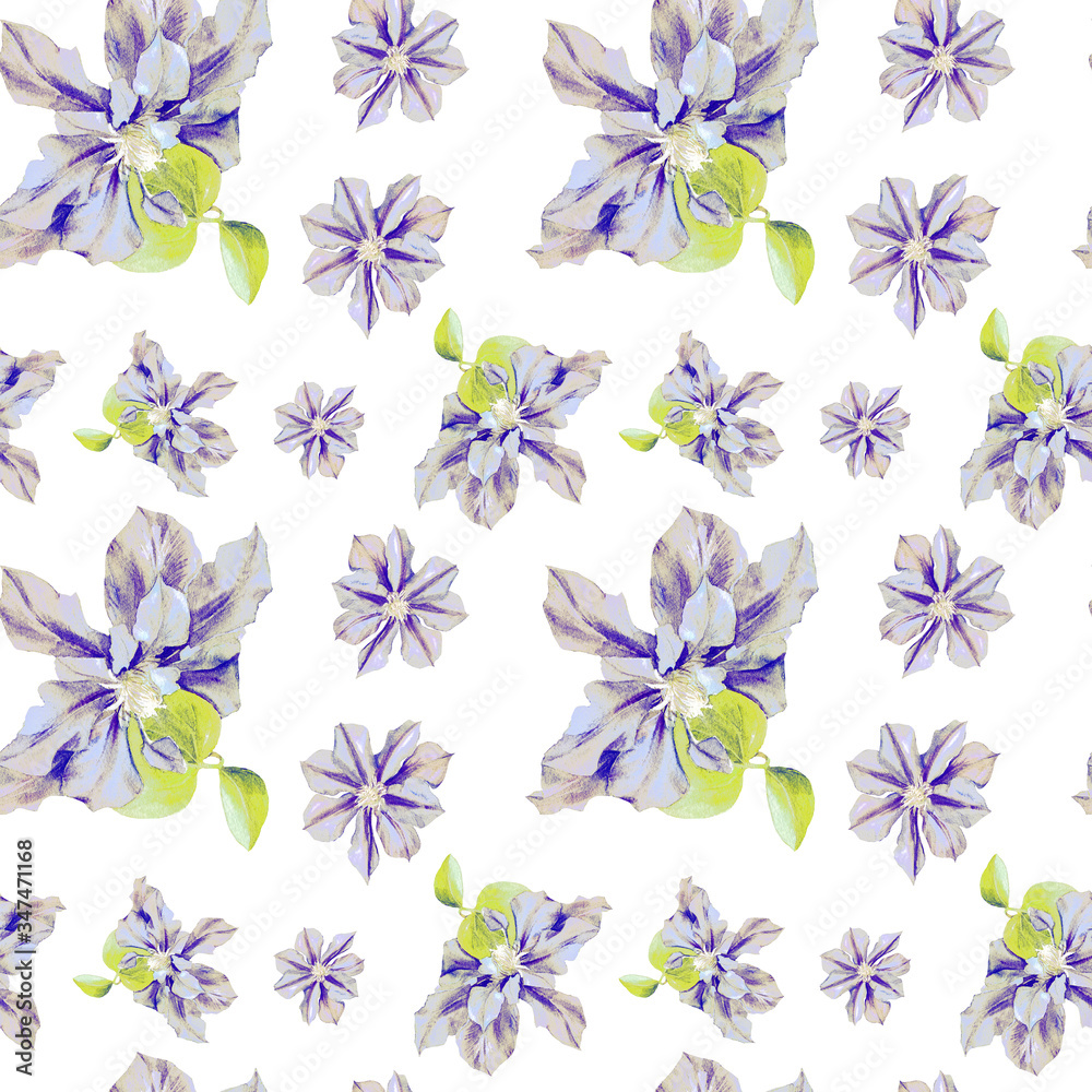 Watercolor seamless pattern of clematis flowers. Original Botanical background.