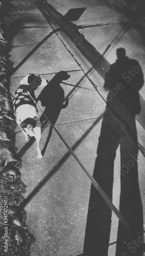 Shadow Of Man And Dog On Sidewalk