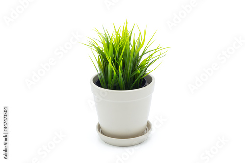 Beautiful artificial green grass in pots ceramic isolated on white background, plastic tree and foliage, plant mini tree, leaf fake with imitation for decorate home, closeup object.