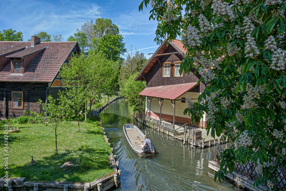 Obraz premium Im Spreewald