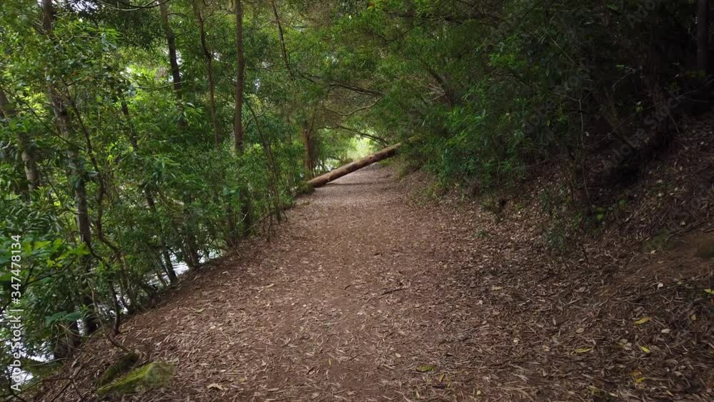 Personal Perspective of Walking on a Path in the green Forest. Pov of Hiker Walking on Trail Through the Wood Personal Perspective of Walking on a Path in the green Forest. Pov of Hiker Walking on Trail Through the Wood
