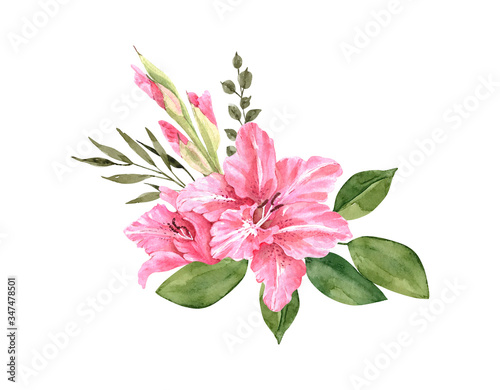bouquet with pink flowers gladioli, watercolor illustration