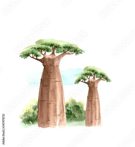 Leinwand Poster African baobab tree in nature, watercolor closeup illustration