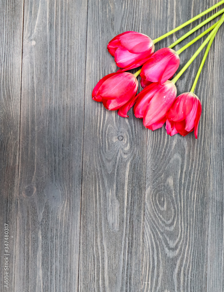 Dark wooden background with place for an inscription and red tulips.