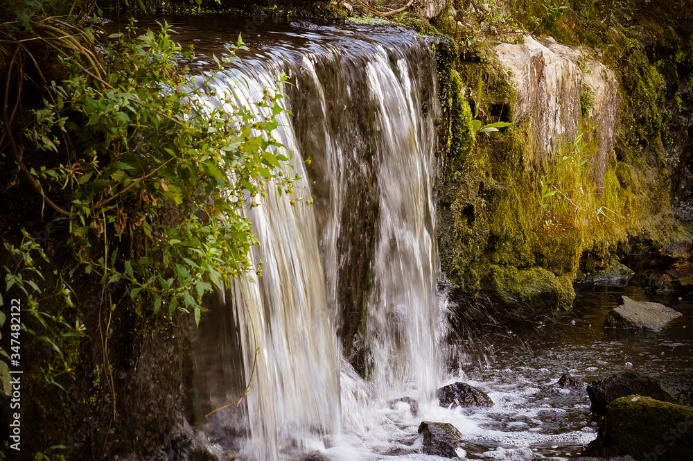Naklejka premium A small waterfall overgrown with grass and moss