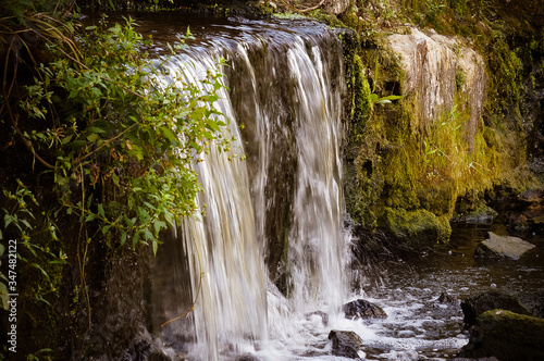 A small waterfall overgrown with grass and moss
