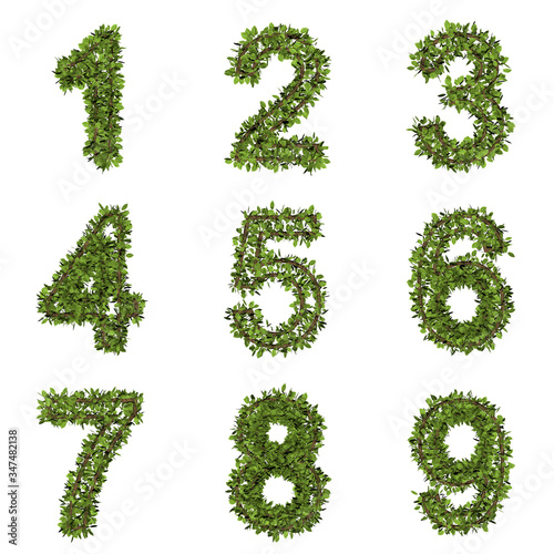 Leaf style number. 3D render of grass font isolated on white background