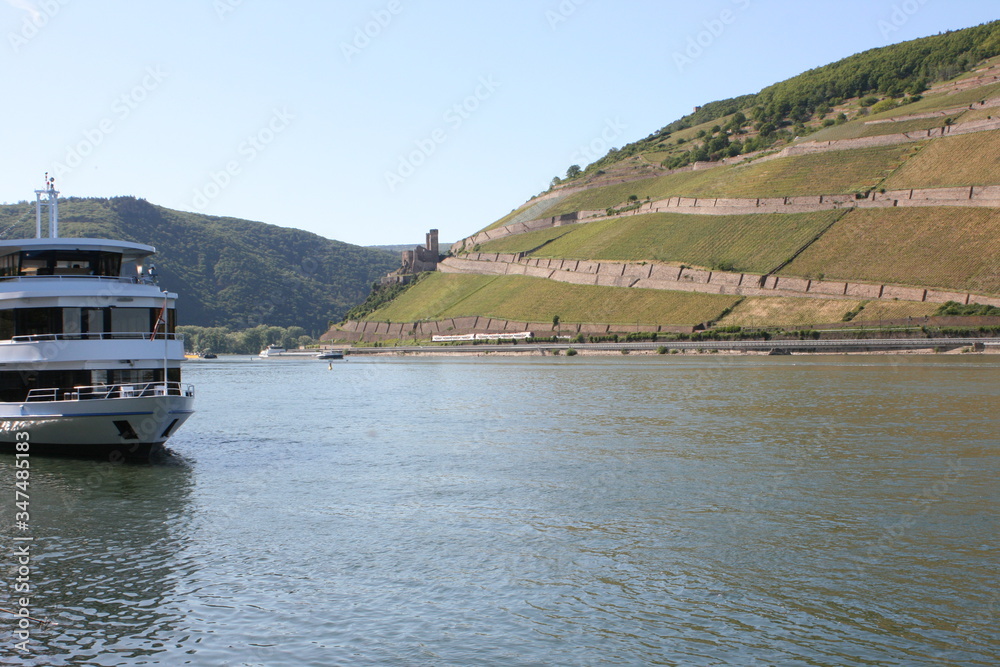 Fototapeta premium Burg Ehrenfels. Rheinblick.