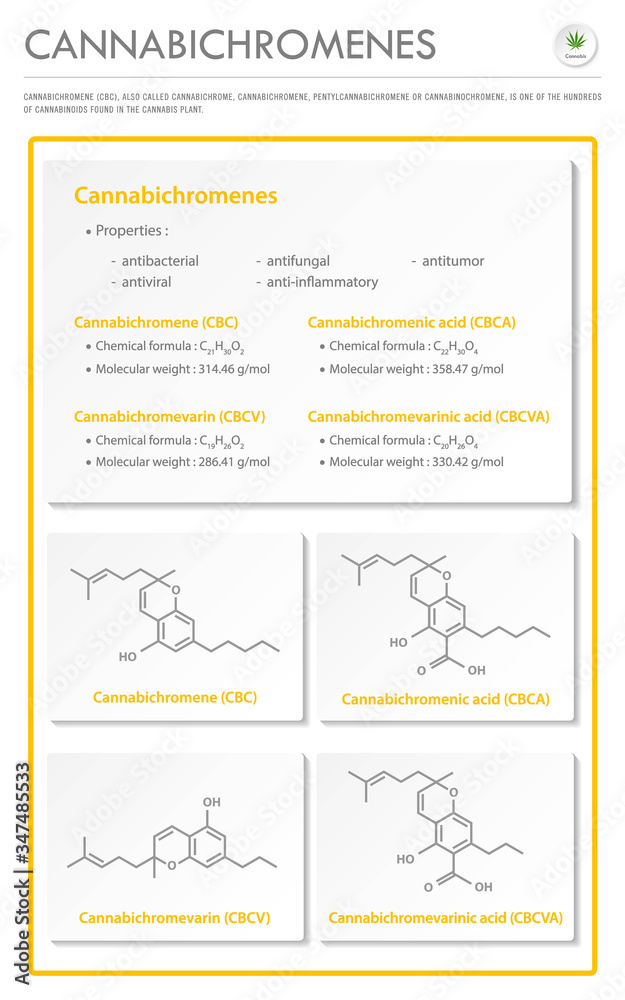 Naklejka premium Cannabichromene CBC with Structural Formulas in Cannabis vertical business infographic illustration about cannabis as herbal alternative medicine and chemical therapy, healthcare and medical vector.