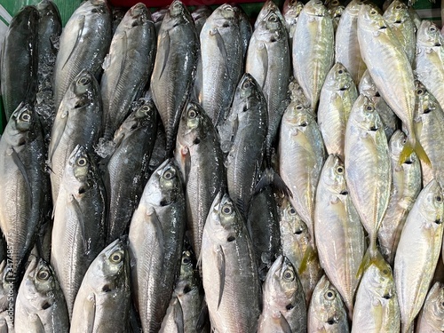 Fresh Torpedo Scad fish and Yellowtail Scad fish at wet market. Image contains grain and noise due to high ISO. Image with selective focus