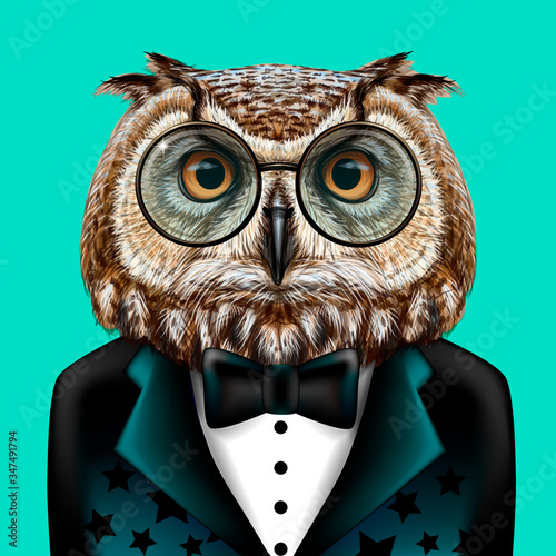Owl. Creative, colorful, hand-drawn portrait Owl with glasses and bow tie dressed in a tuxedo on a turquoise background.