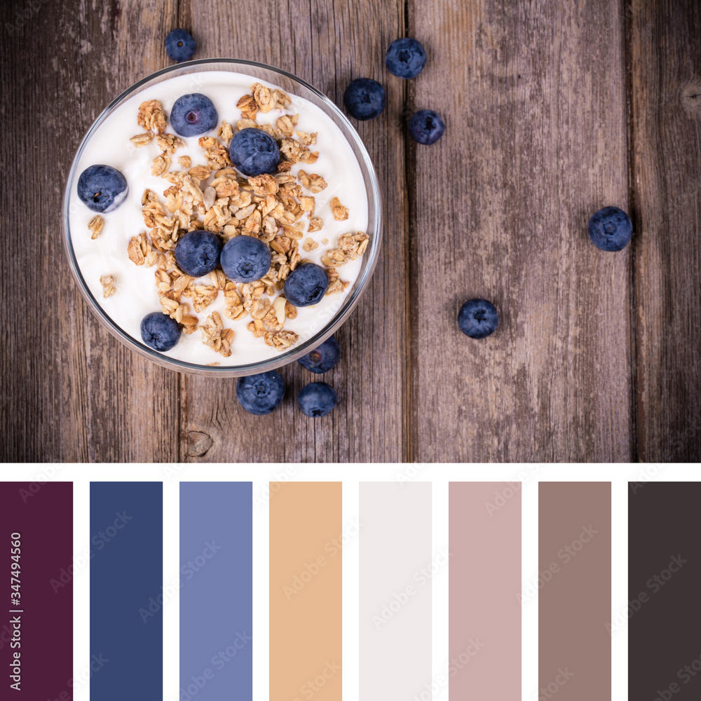 Yogurt and blueberries palette Yogurt and blueberries palette