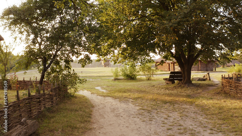 Sandy road in rural area. Beatiful single tree in the distance.