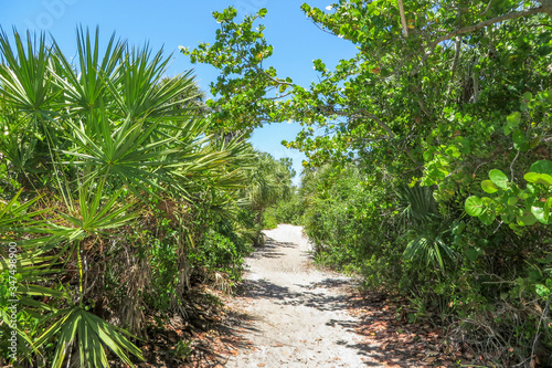 Nature trail through a coastal hammock in Caspersen Beach Park in Vencie Florida on the southwest Gulf Coast of Florida
