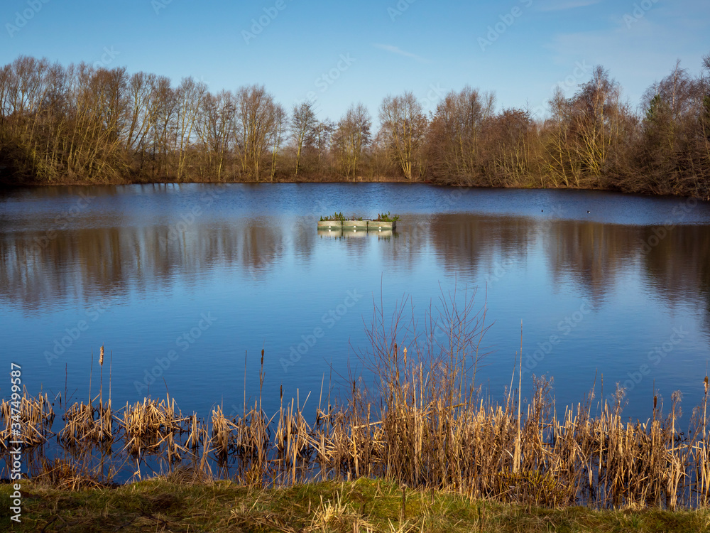 Lake at North Cave Wetlands Nature Reserve in East Yorkshire, England, with reflected trees in winter