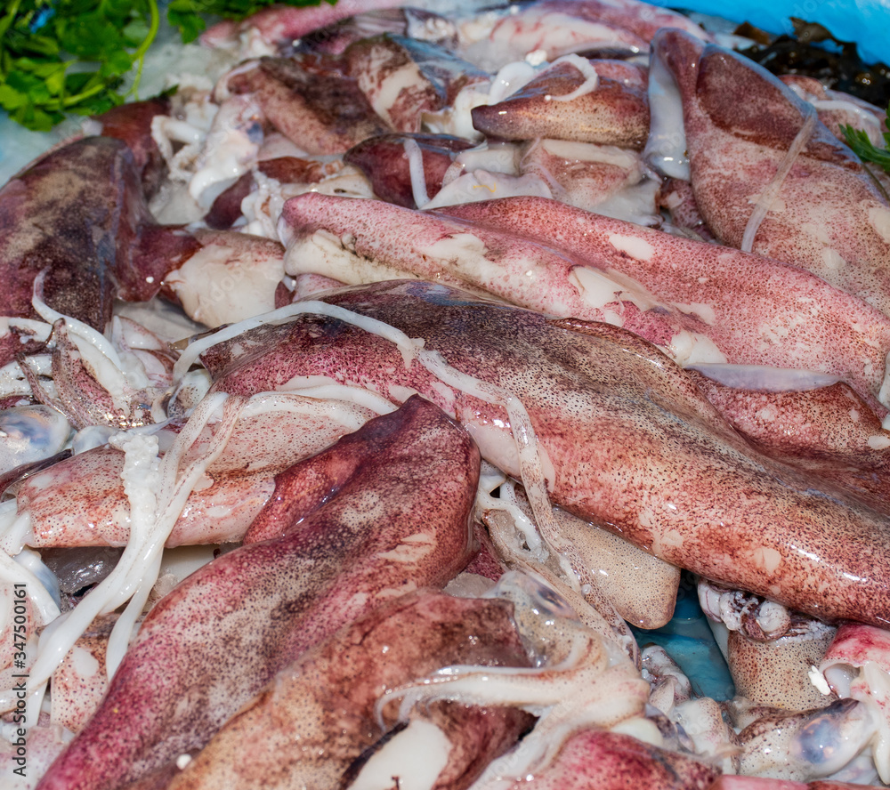 Seafood on ice at the fish market: calamari
