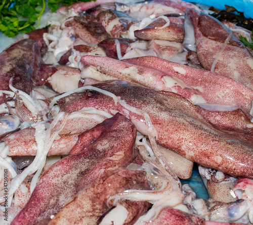 Seafood on ice at the fish market: calamari