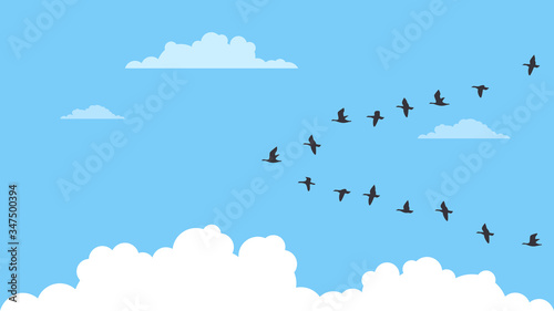 Detailed flat vector illustration of a flock of migrating birds on a blue background with clouds. World Migratory Birds Day. Feel free to use only parts of the illustration too. photo