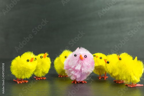 Slika na platnu semicircle of yellow chenille easter chicks with purple chick in the center