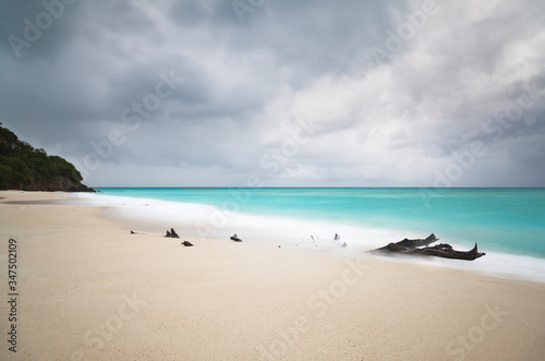 Fototapeta Naklejka Na Ścianę i Meble -  Stormy Caribbean Beach With Driftwood