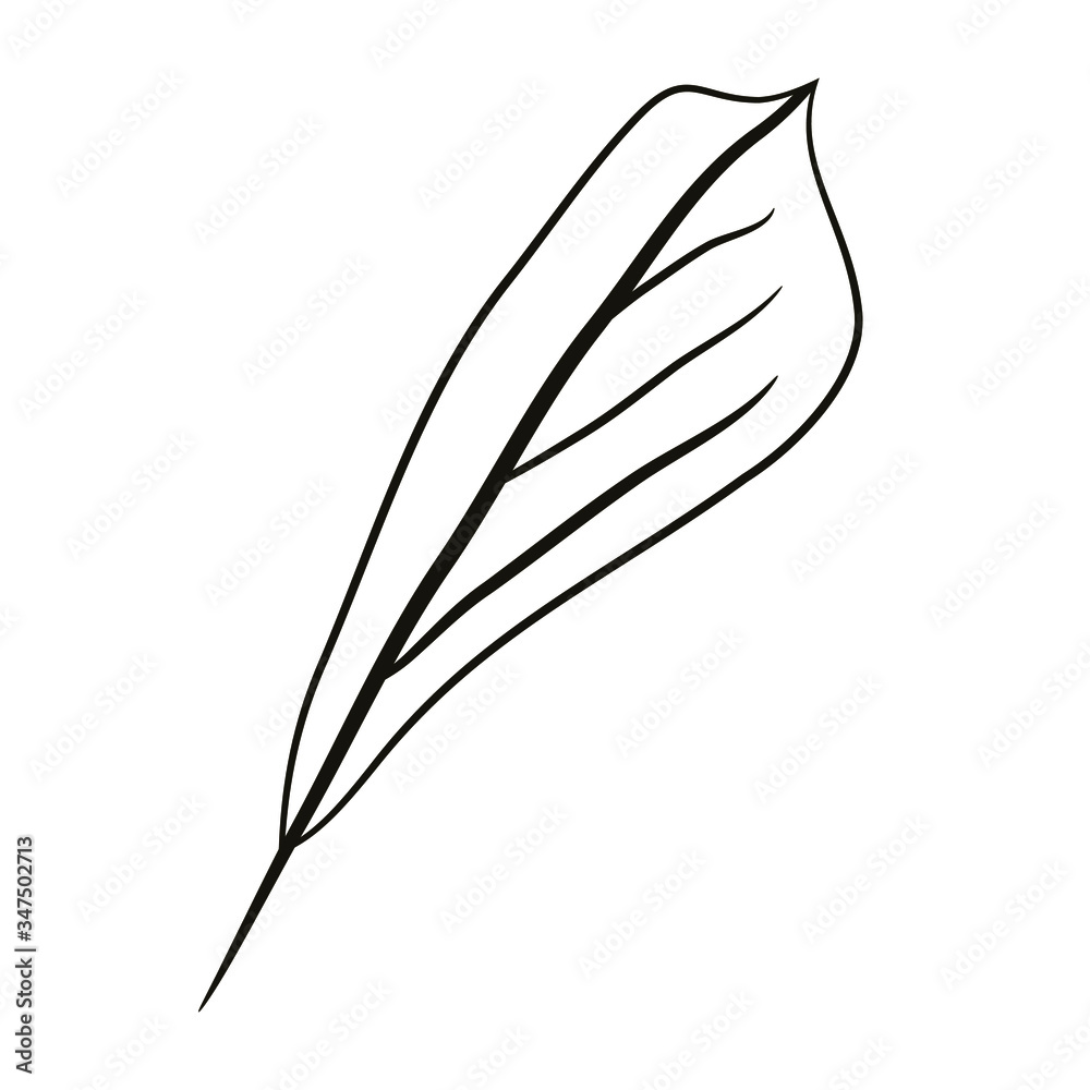 Hand drawn element of magnolia leaves for graphic design. Leaf for pattern, cards, logo, posters, stickers, packing, social media, prints. Stock vector illustration. Isolated on white background. Hand drawn element of magnolia leaves for graphic design. Leaf for pattern, cards, logo, posters, stickers, packing, social media, prints. Stock vector illustration. Isolated on white background.