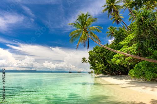 Idillyc landscape of tropical beach - calm ocean, palm trees, blue sky