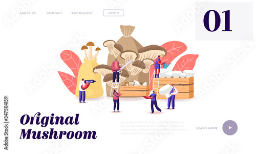 Tiny Characters Growing Mushrooms at Home Landing Page Template. Men and Women Gardening Hobby, Grow and Cut Shiitake, Porcini and Champignons in Sack and Wood Box. Cartoon Vector People Illustration