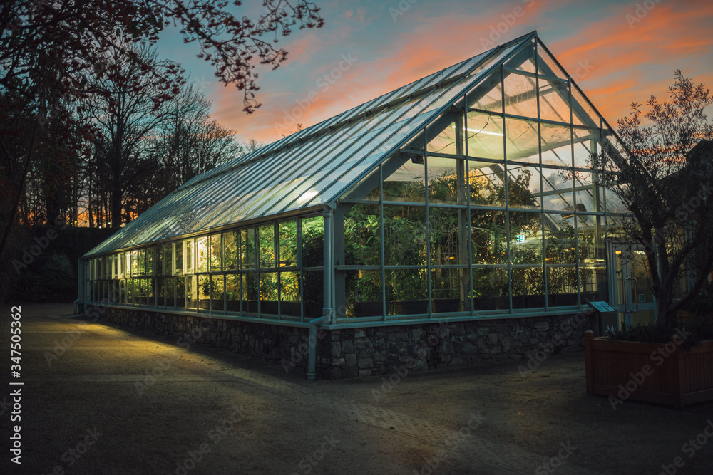 illuminated butterfly greenhouse, with the sunset in the background