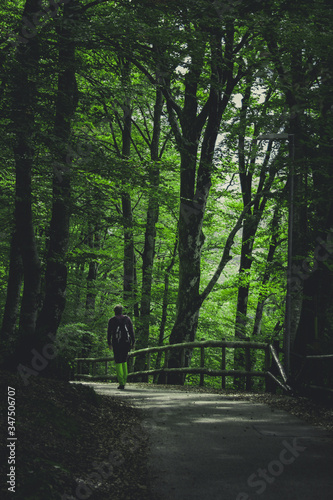 Man walking in the woods