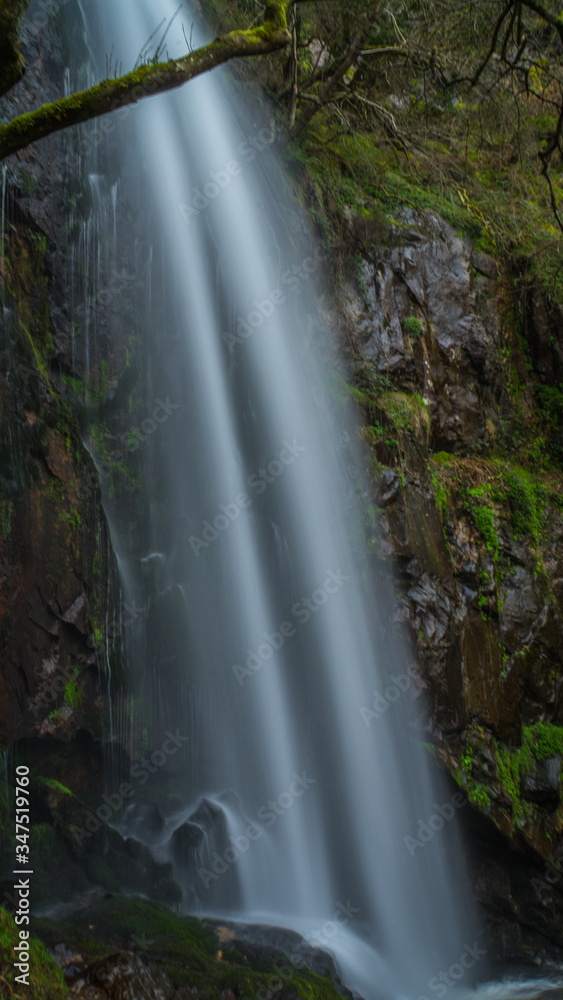 Fototapeta premium Cascada de río entre rocas y zona verde