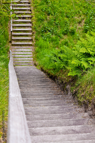 Stairs to nature of Pipinsburg. photo