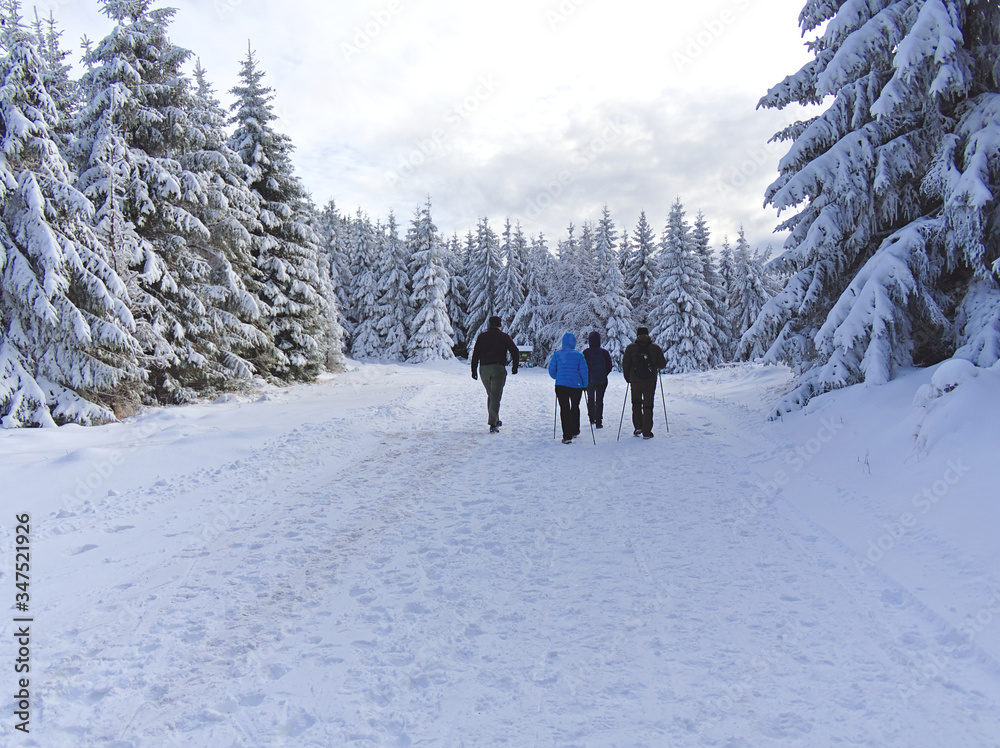 Group of people walking in snow covered forest in Ramzova, Czech Republic