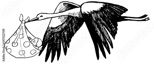 Flying stork with a baby. Sketch of crane with newborn child. Hand drawn vector illustration in vintage style isolated on white. Cute illustration for postcards, decor, design, prints, posters, banner