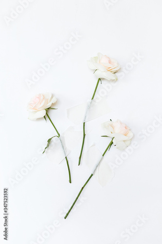 Fototapeta Naklejka Na Ścianę i Meble -  Three roses attached to the white wall with tape. Creative concept flowers.