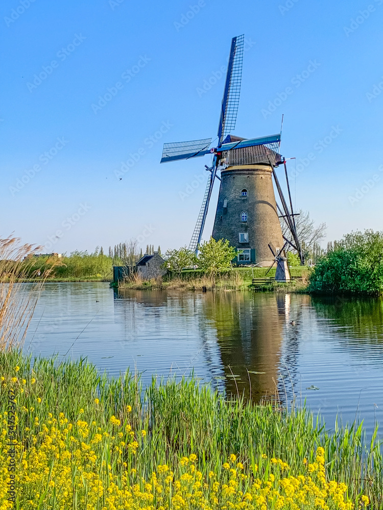 Fototapeta premium windmills in holland on a sunny day