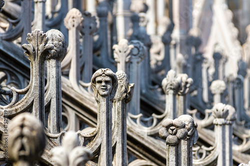 detail of Milano's cathedral photo