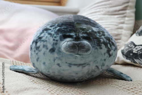 Fototapeta Naklejka Na Ścianę i Meble -  Chonky seal Profile surrounded by cushions