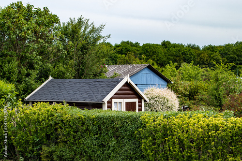 view into a allotment gardens, hedges left and right, roof of tiny houses