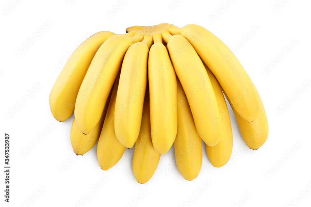 baby banana bunch isolated on white background with clipping path and full depth of field. Top view. Flat lay