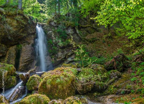 Little waterfall with rocks and green forest near Gunzesried. Allg  u  Bavaria  Germany