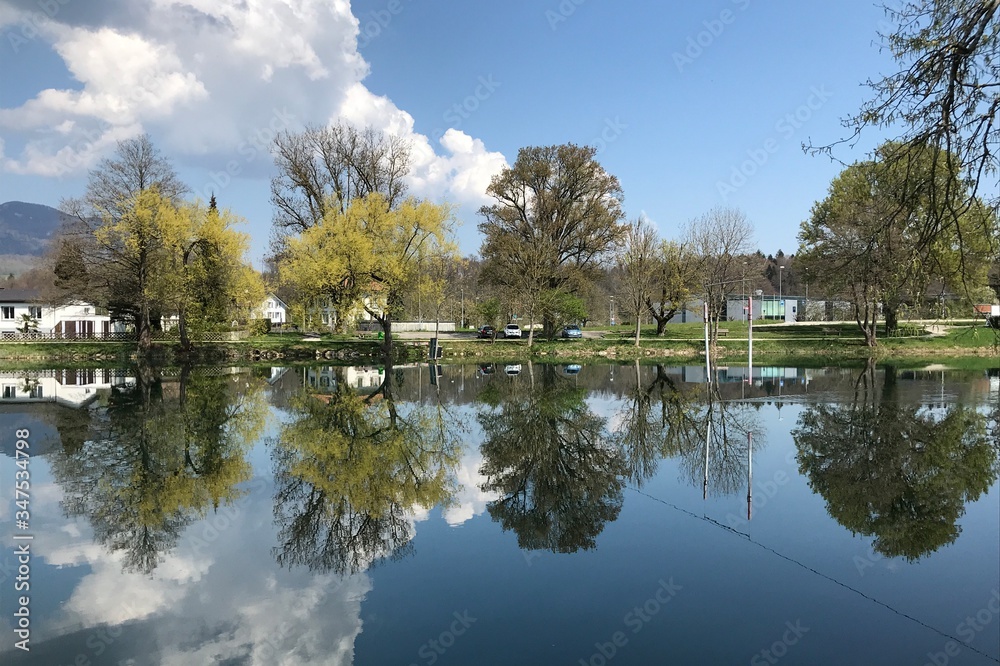 Réflexion d'arbres à Wangen an der Aare Réflexion d'arbres à Wangen an der Aare