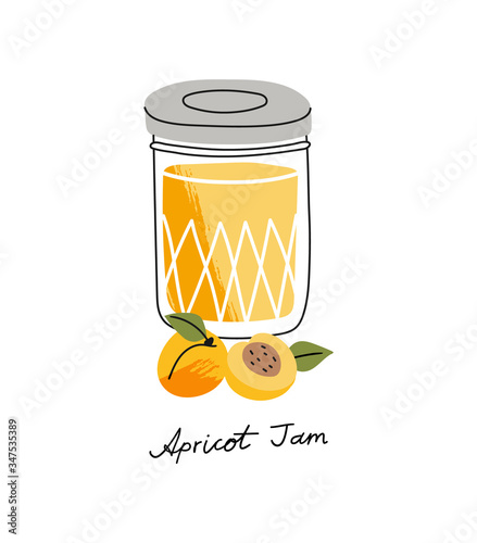 Vector illustration of fruit jam in a jar with apricots in front of it in cartoon style.