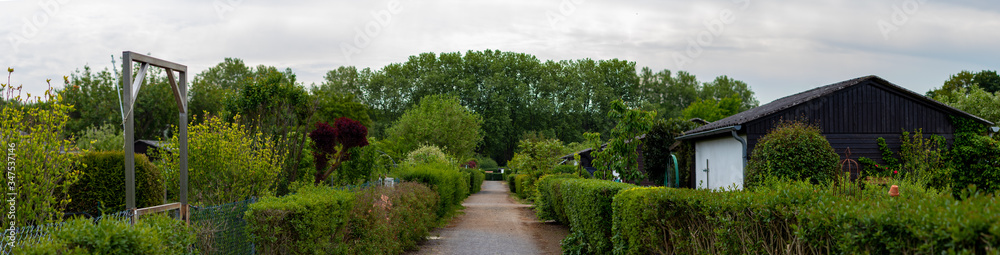 path in a allotment garden, hedges left and right on the path